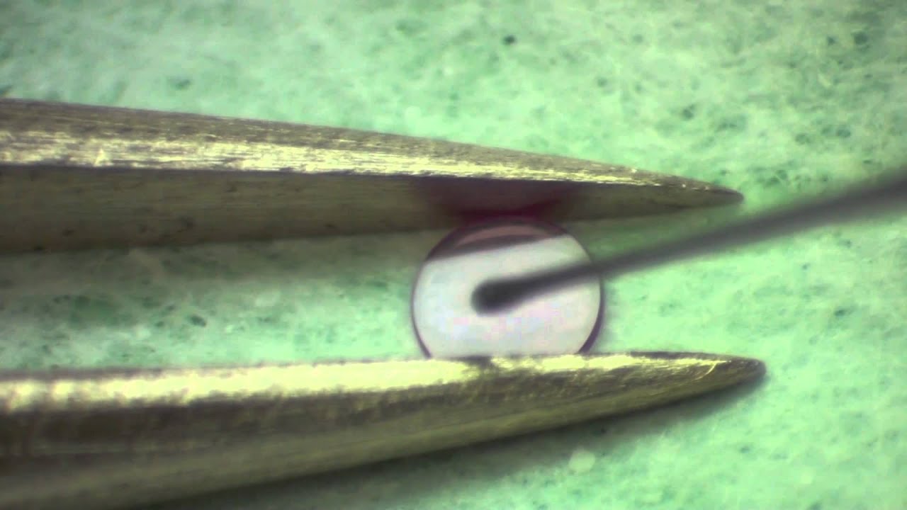 Lubrication Control Part 2 - School of Watchmaking @ OSUIT