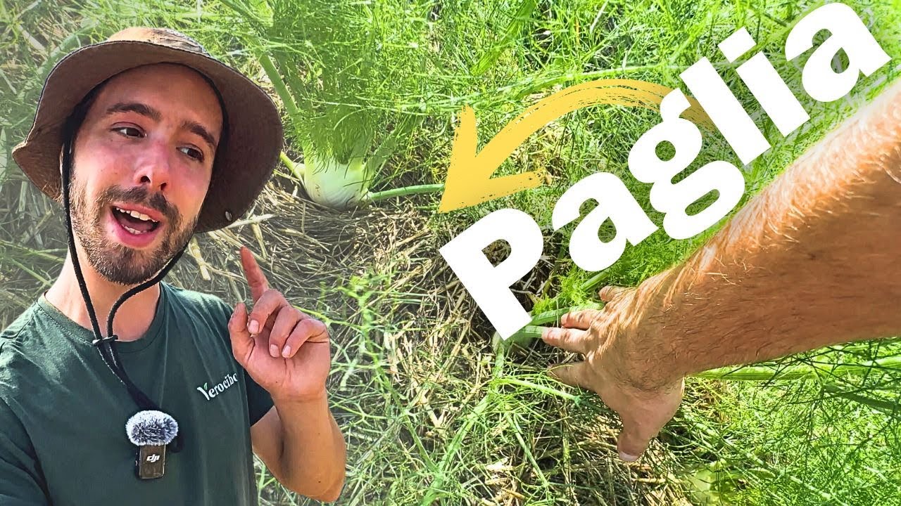 Paglia nell'Orto: Ecco i miei Risultati con Piante più Sane e più Forti.