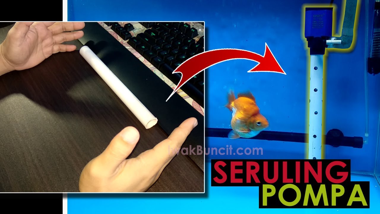 Modifikasi Pompa Celup Aquarium: Solusi Kotoran Ikan Mas Koki yang Sulit Tersedot Pompa