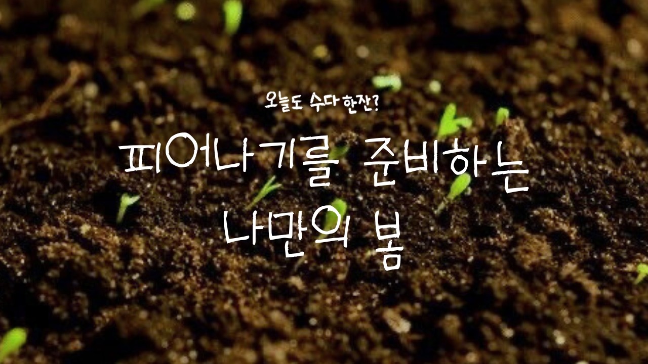 [37화] 피어나기를 준비하는 나만의 봄