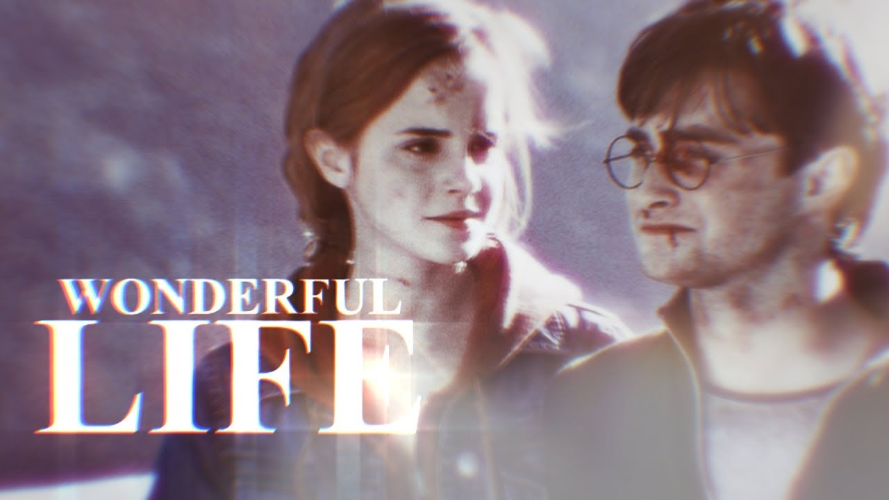 Harry & Hermione | Wonderful Life