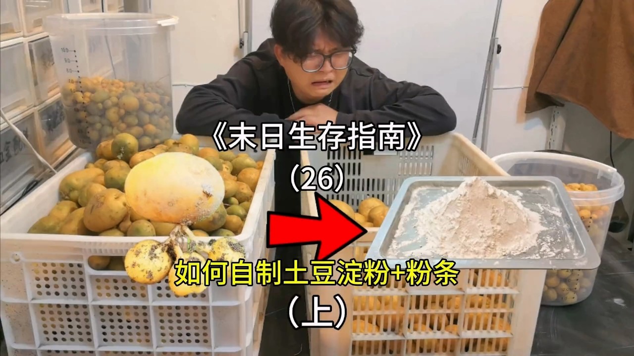 在末日从种植开始制作一碗纯手工土豆粉条有多难？【刘惟与】#室内农场 #生态循环 #末日生存 #手工