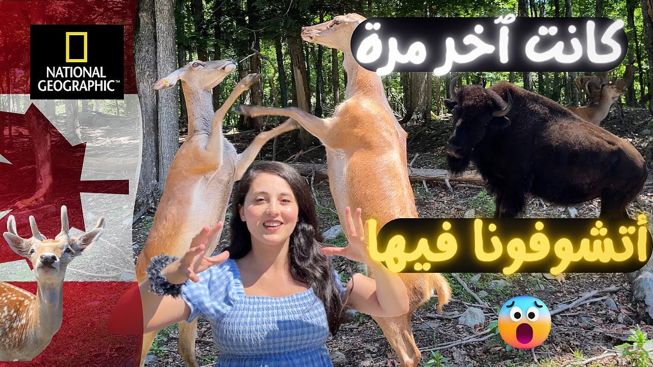 دخلنا أغرب واكبر محمية للحيوانات في في كندا 😍 حدث شيء لا يصدق 😱 حاصرتنا حيوانات مفترسة 💣