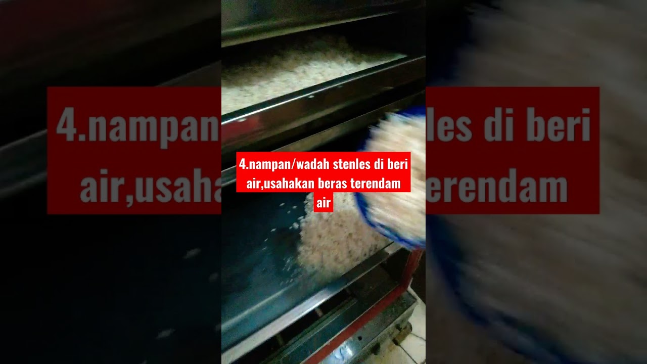 part 1.memasak nasi 1000 porsi dengan steamer.#short #video #shorts #tips