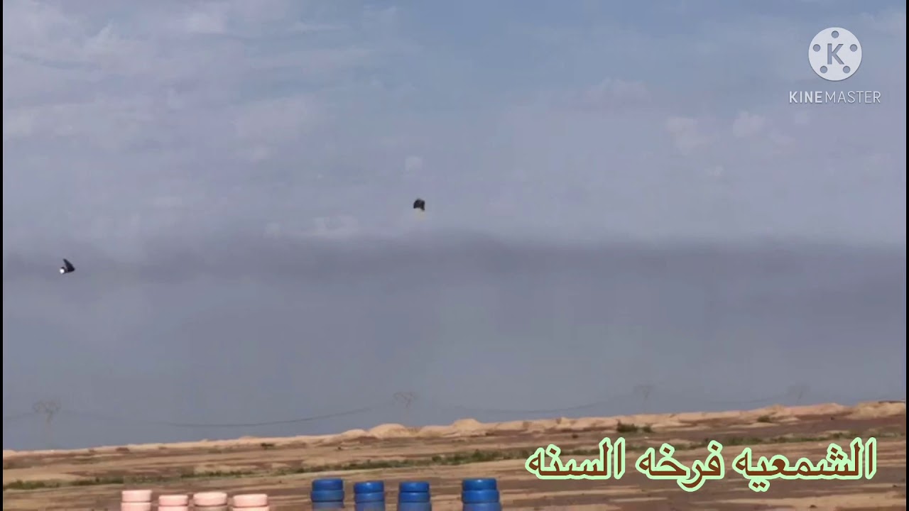 طيره أحمد الدراجي فرخه السنه بدوه طيبه