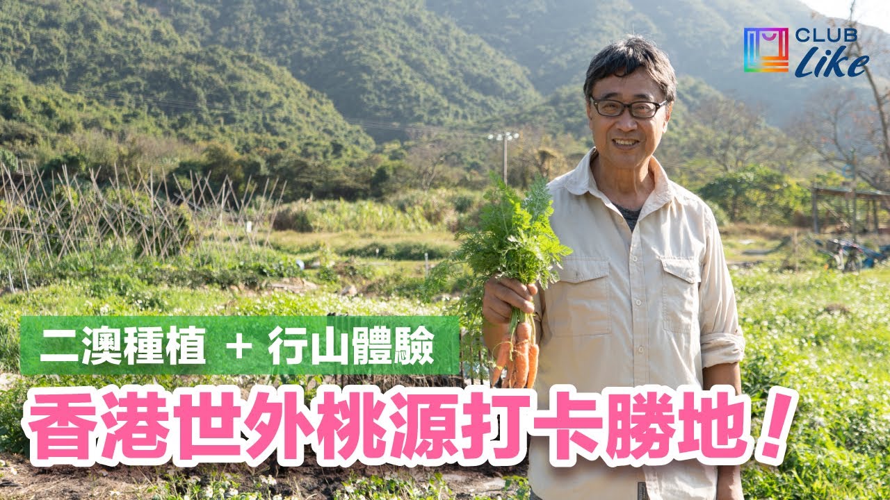 二澳一日遊！復興香港米  種植、行山到處都是影相位｜二澳農作社