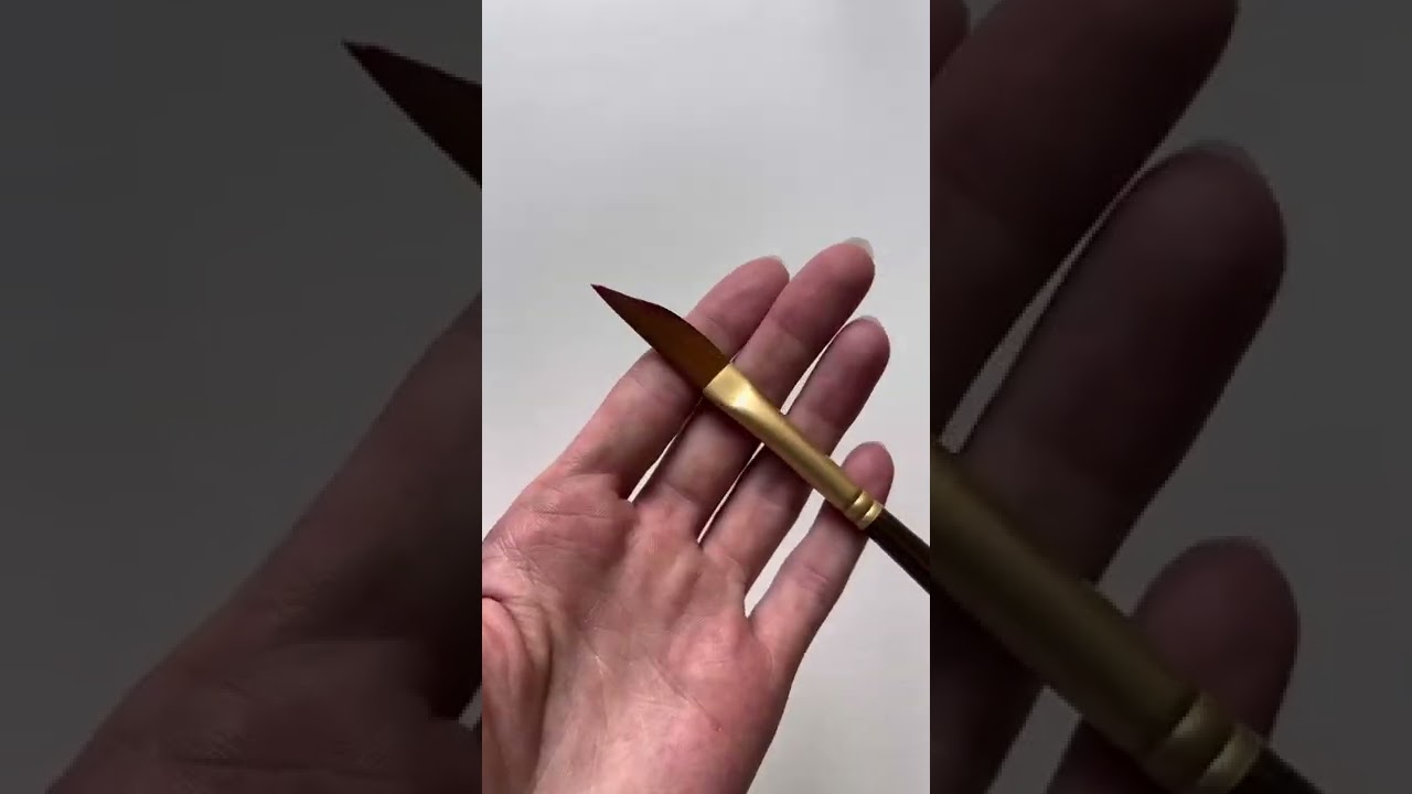 Какие бывают кисти? 🖌