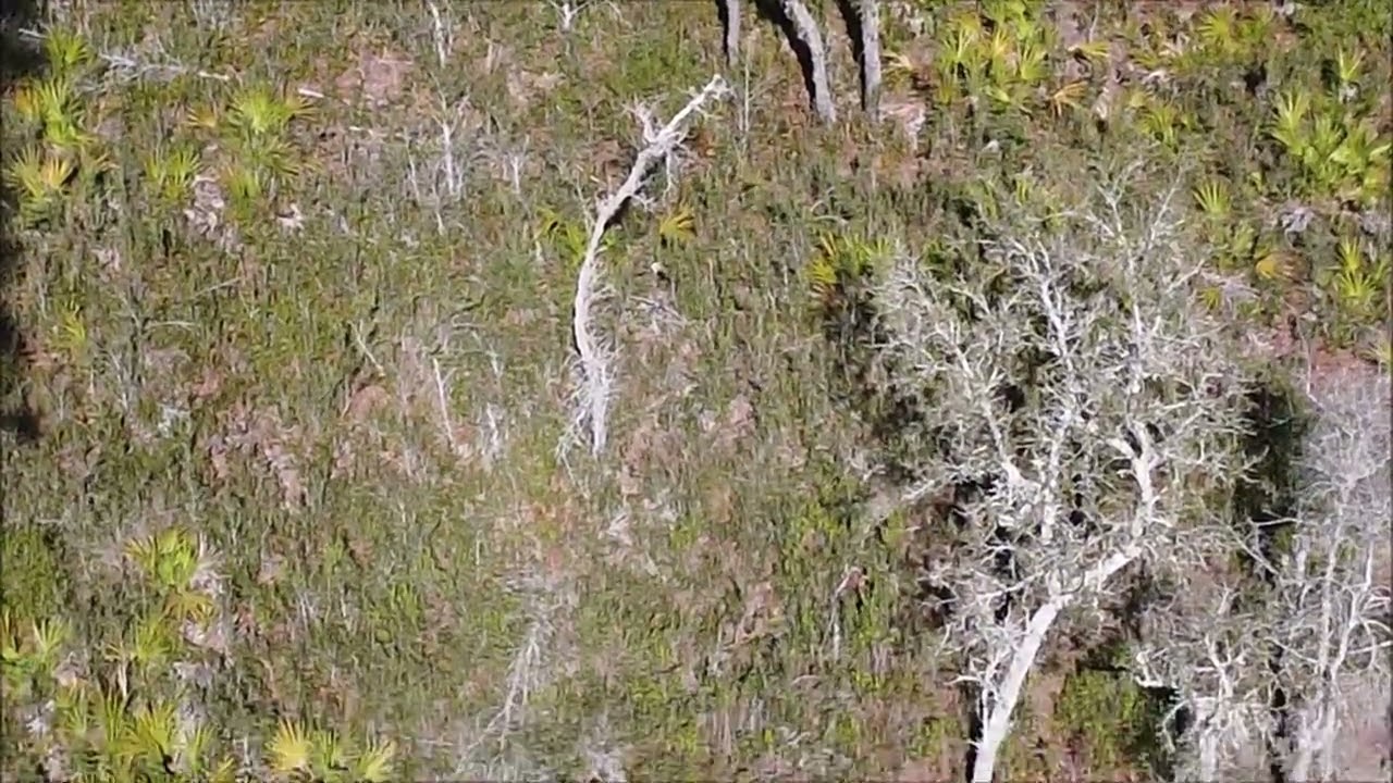 Drone works: A short compilation from Wednesday, January 28th, 2026.