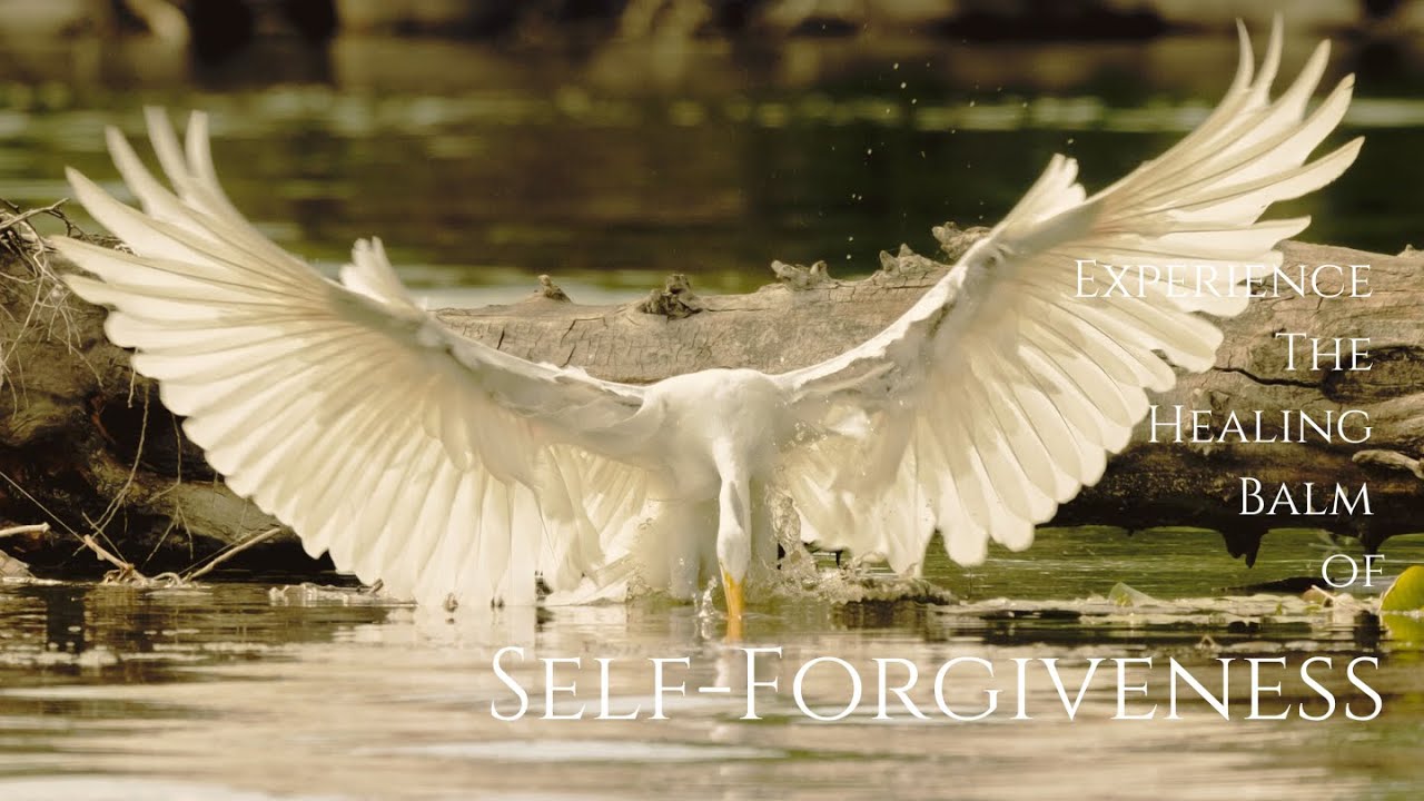 Embrace the Healing Balm of Self-Forgiveness