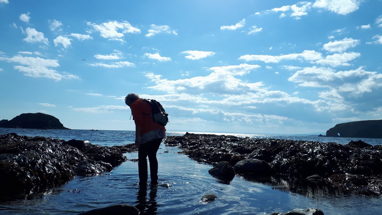 SEA GARDENING in IRELAND 🍀 The Copper Coast Geopark | Destination Challenges