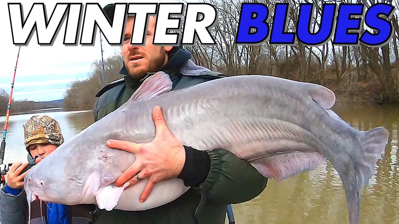 Locating and Catching Trophy Catfish in the Winter
