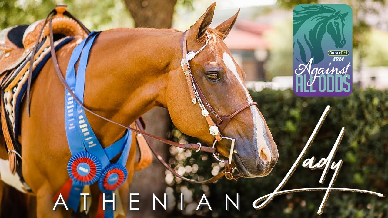 Athenian Lady: The BreyerFest 2024 Celebration Horse | Breyer Model Horses