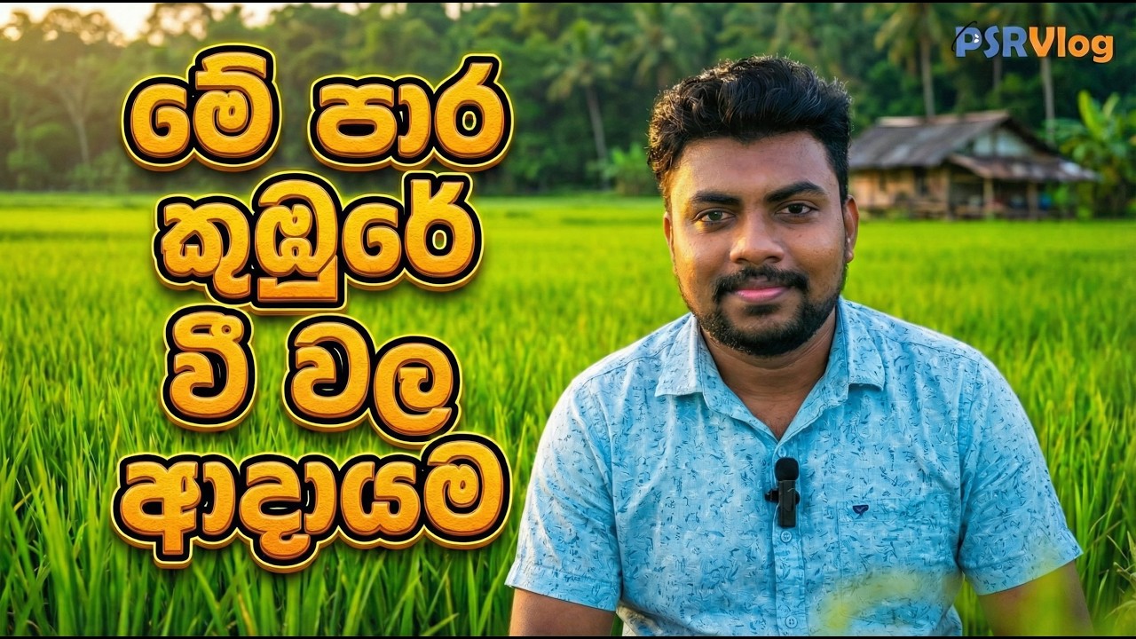මේ පාර කුඹුරේ ආදායම