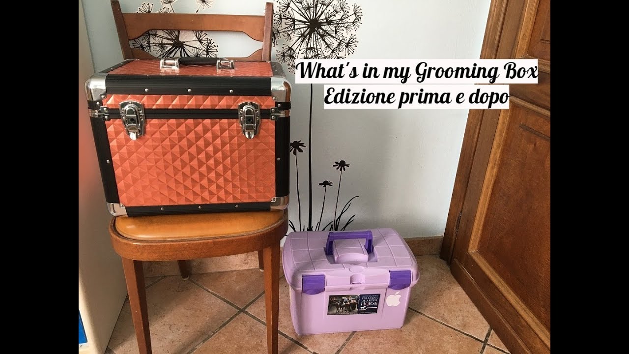 WHAT'S IN MY GROOMING BOX - EDIZIONE PRIMA E DOPO