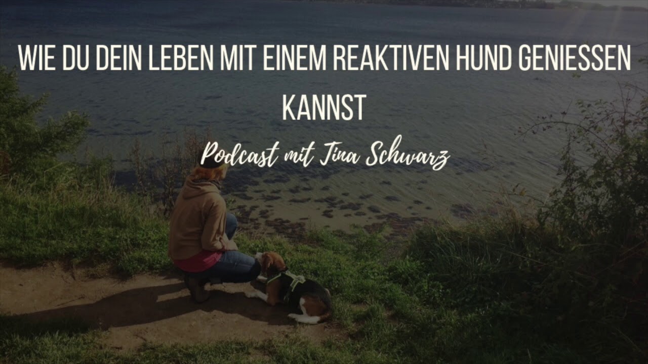 #5 Podcast: Wie du das Leben mit einem reaktiven Hund geniessen kannst