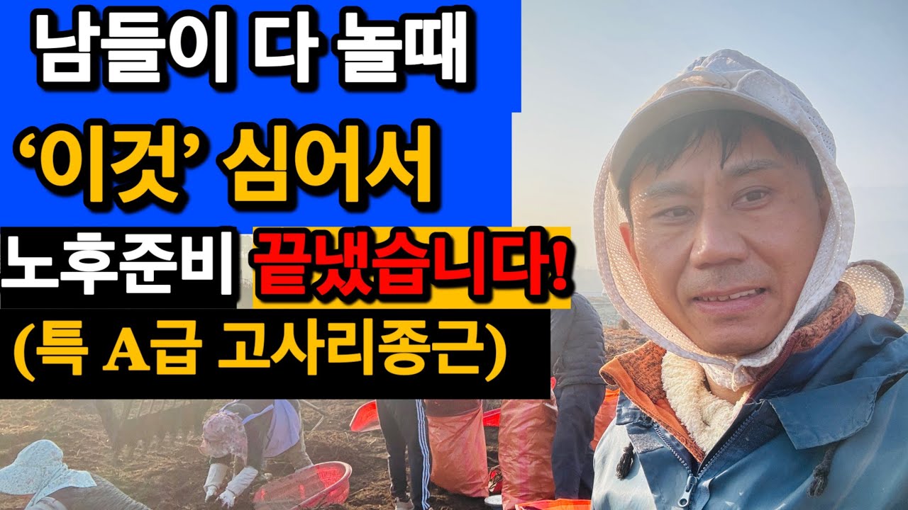 아직도 남들 심는 것만 심으세요? 노후 것정 끝내는 특A급 고사리종근 재배 비결! (문의: 010-8546-0851)