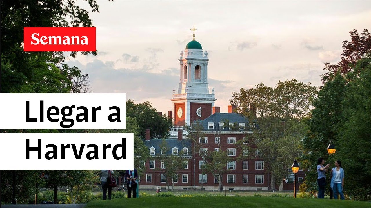 ¿Cómo llegar a Harvard? Colombianos explican el “secreto” | Semana Noticias