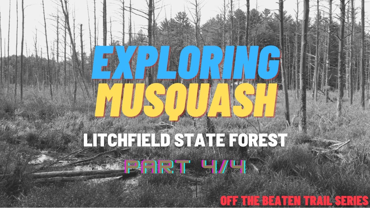 MTB Exploring Musquash Pt 4 Litchfield SF