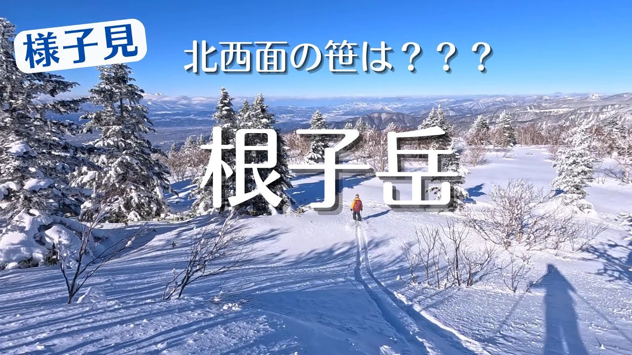 【様子見】根子岳BCスキー　北西面の笹は？？？
