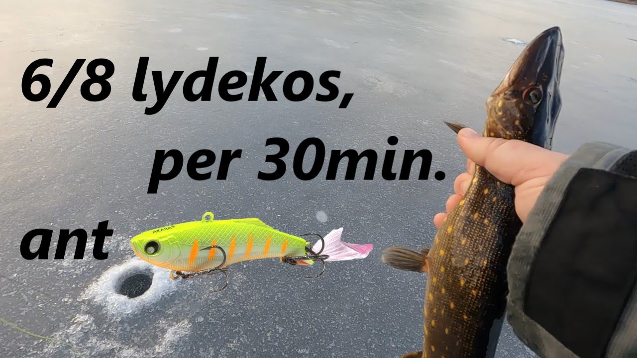 #33 Juodlės ežero lydekos vibais