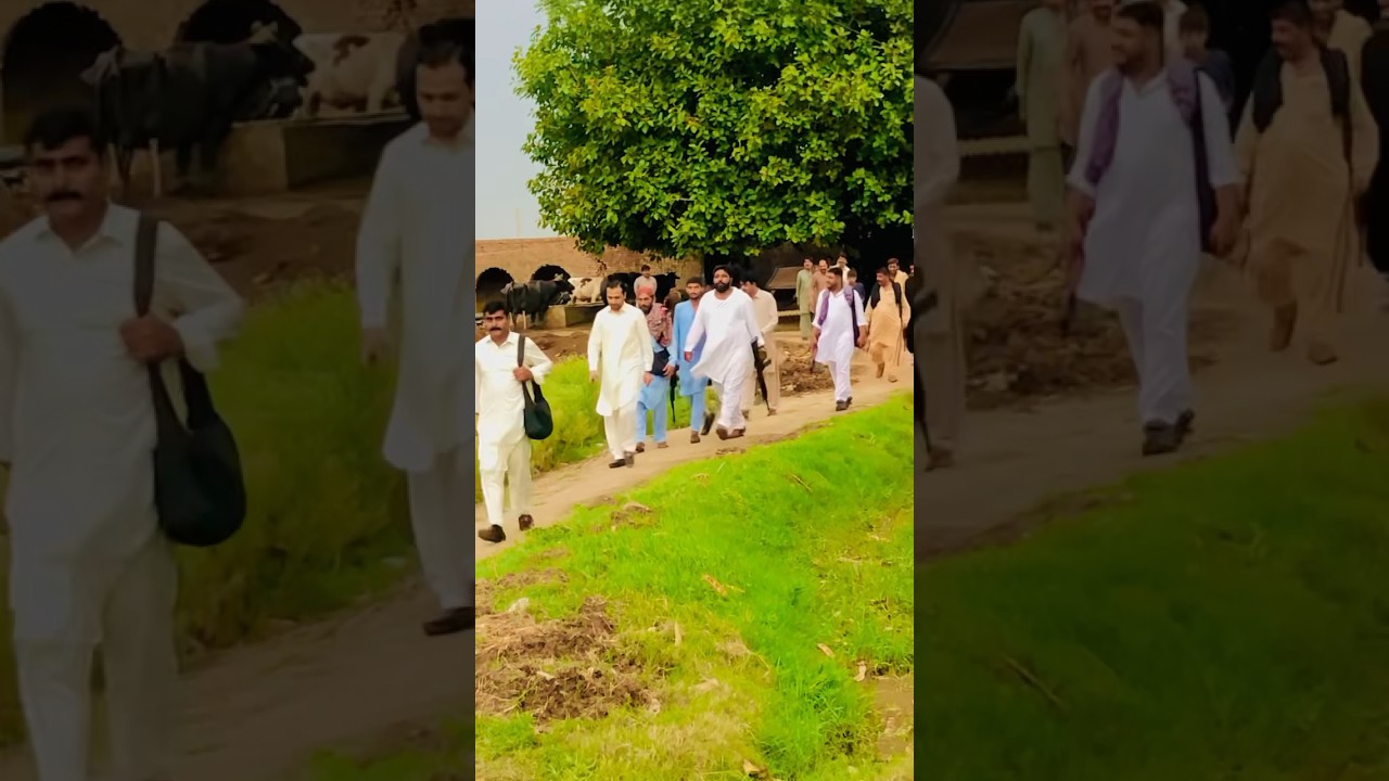Hassam Ali Warraich Full Protocol at Farm #hassamwarraich #protocol #viral #shorts #ytshorts #pti
