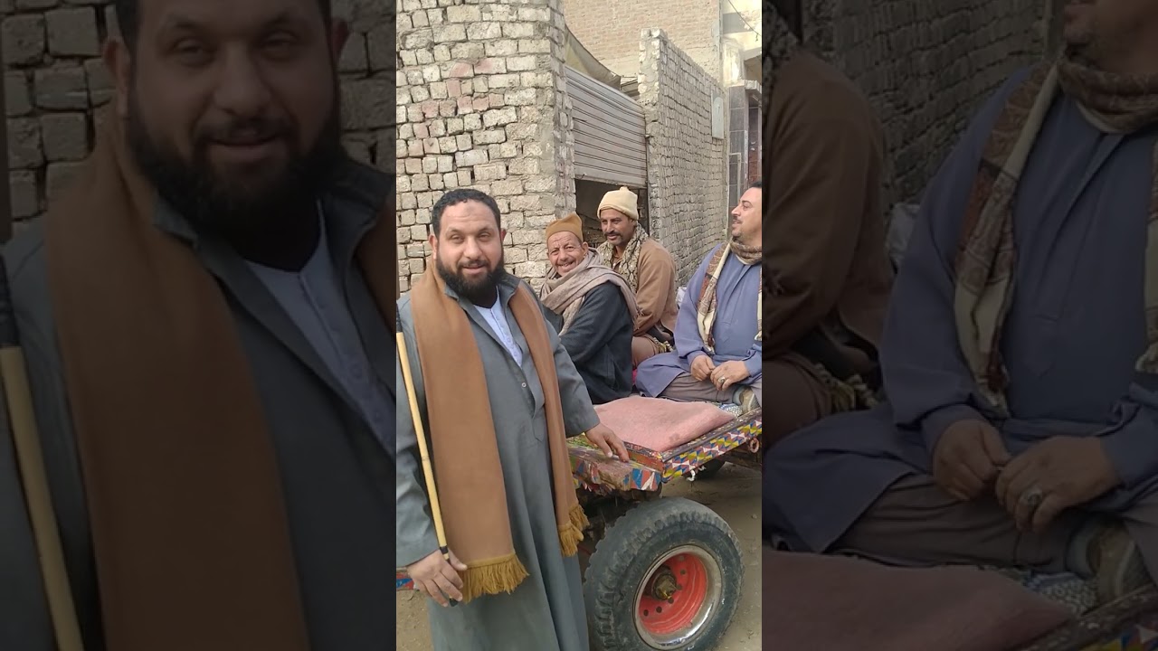 خيل الشيخ محمد رخا المحله الكبرى مهره سواده كسره اربعه عشر شهرين والجر من اعلى درجه ربنا يبارك