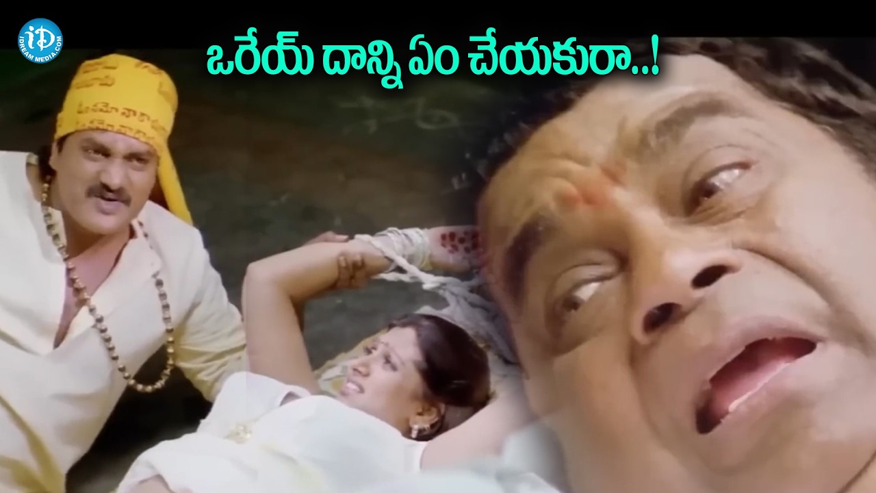 చీ..చీ.! బుద్ధి ఉన్నోడు ఎవడైనాదినిజోలికి వెళ్తాడా? | Brahmanandam And Sunil Funny Best Comedy Scene