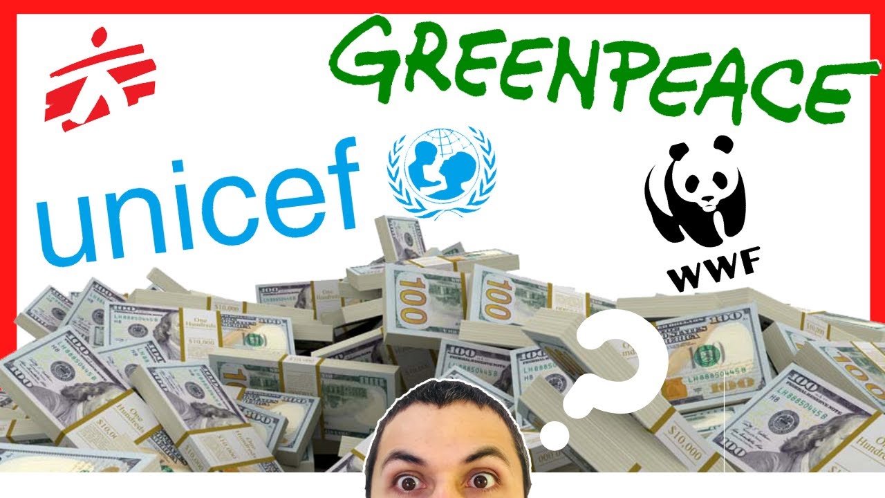♻️¿Cómo se FINANCIA (o reciben donaciones) una ONG?💲[Organización Sin Fines de Lucro] Curso Ong 003