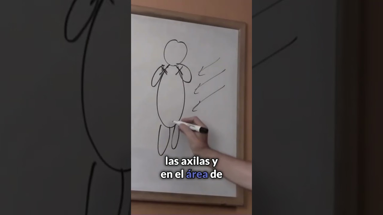 &iquest;Por qu&eacute; el sudor huele mal?