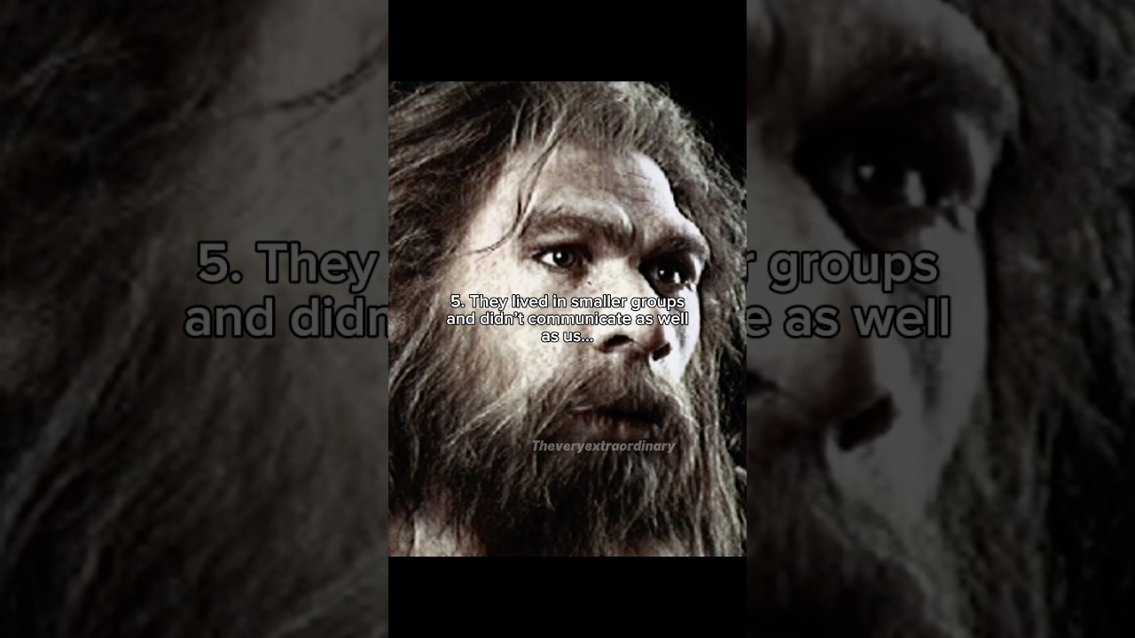 The main differences between us and Neanderthals&hellip; #prehistoric #earlyhumans #iceage #neanderthal