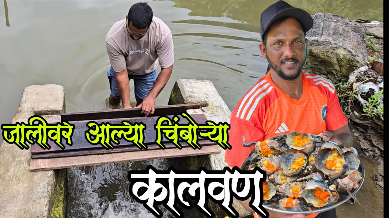 आगरात उतरणीला आल्या चिंबोऱ्या | भरलेल्या चिंबोरी चा कालवण | Crab Catching & Cooking | Chimbori 