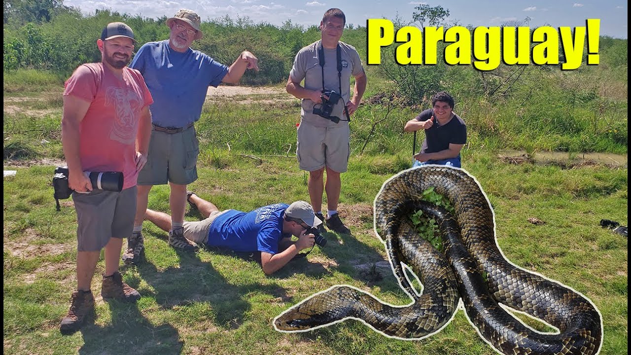 Finding our way through Paraguay.  A Herping Adventure.