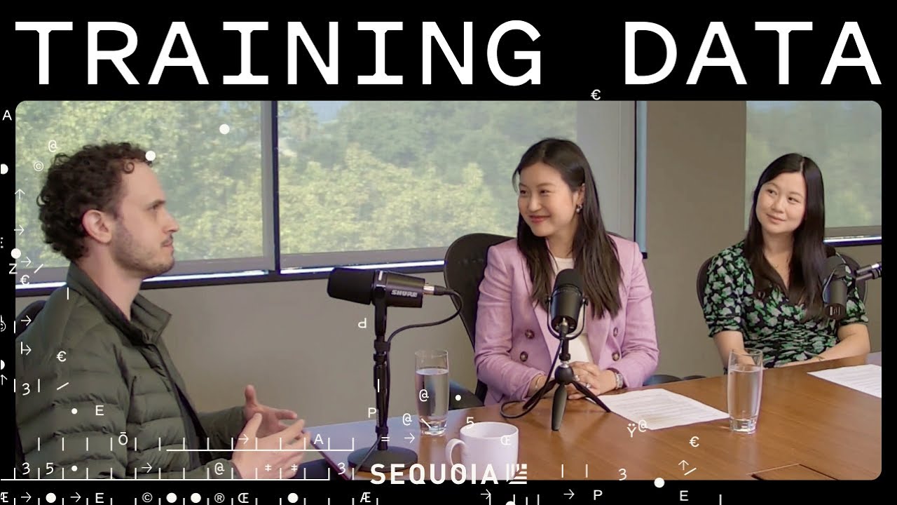 Reflection AI’s Misha Laskin on the AlphaGo Moment for LLMs | Training Data