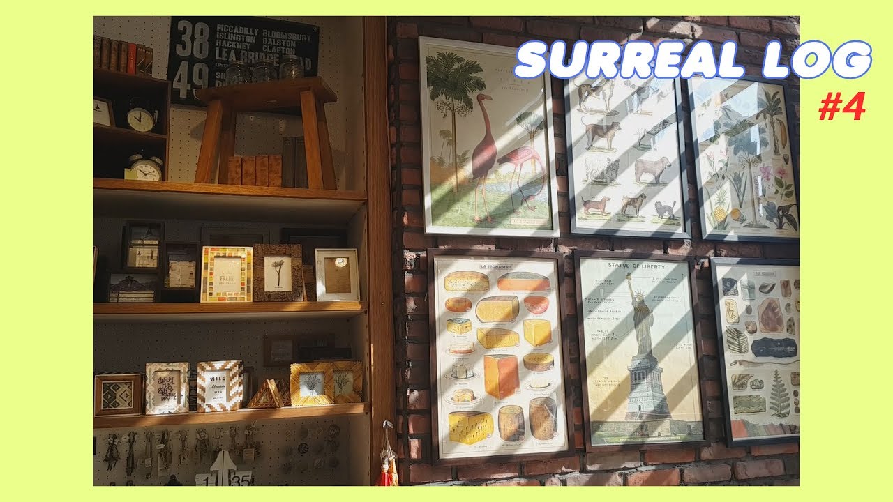 마리아쥬 프레르 티와 라듀레 마카롱, 전주 남산경양식 이탈리안 돈까스 VLOG #4