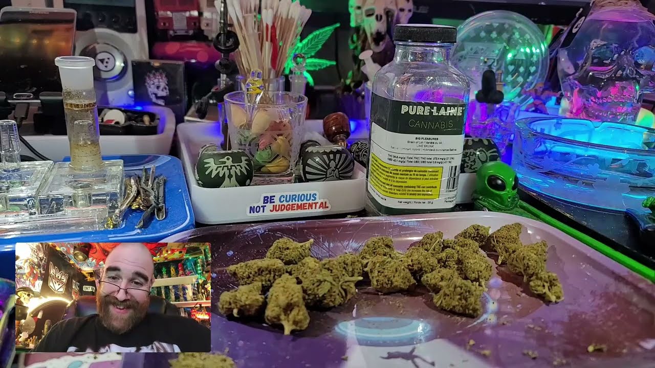 Big Pleasures - Lime Skunk 👽👑😤💚