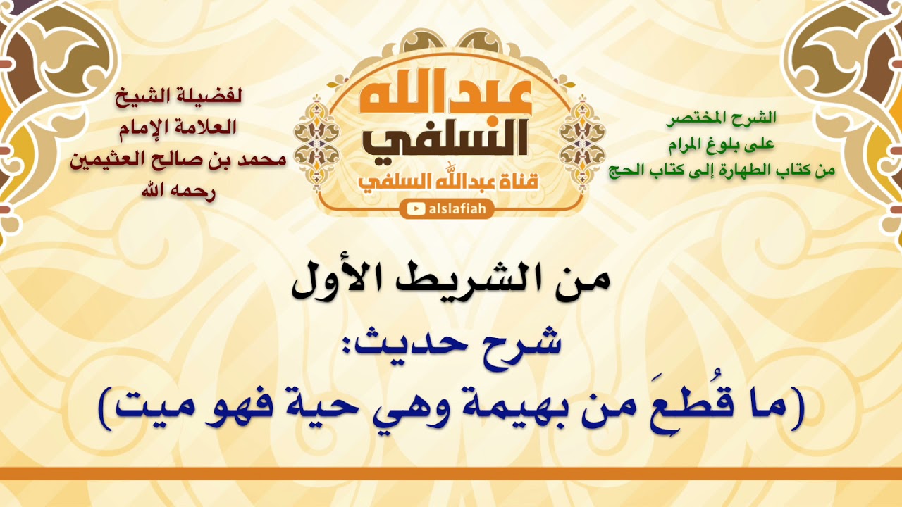 الشيخ ابن عثيمين : شرح حديث  ما قُطِعَ من بهيمة وهي حية فهو ميت