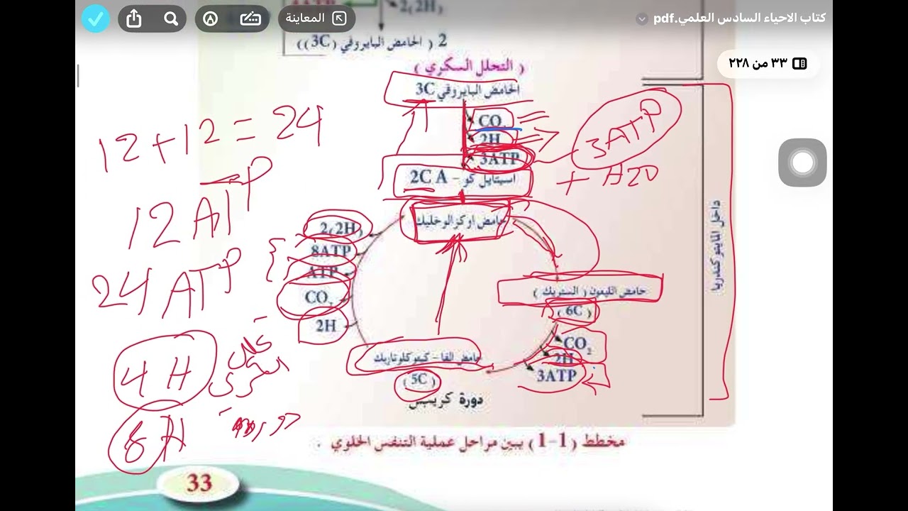 احياء