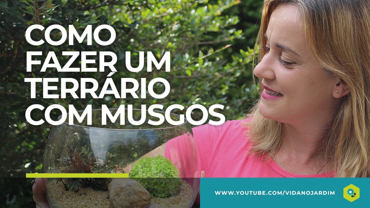 Conheça a SELAGINELA: Uma das melhores PLANTAS para TERRÁRIOS.