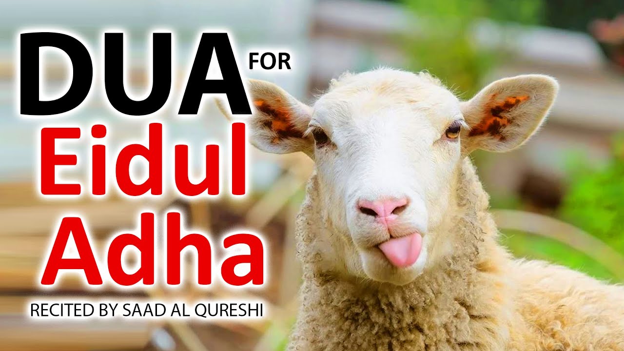 Dua For Eid ul Adha Bakra Eid QURBANI 2021 - Eid Mubarak! Must Listen!