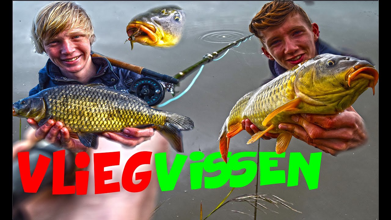 Karpervissen - Vliegvissen op Boerenkarper! ~ Voorjaar
