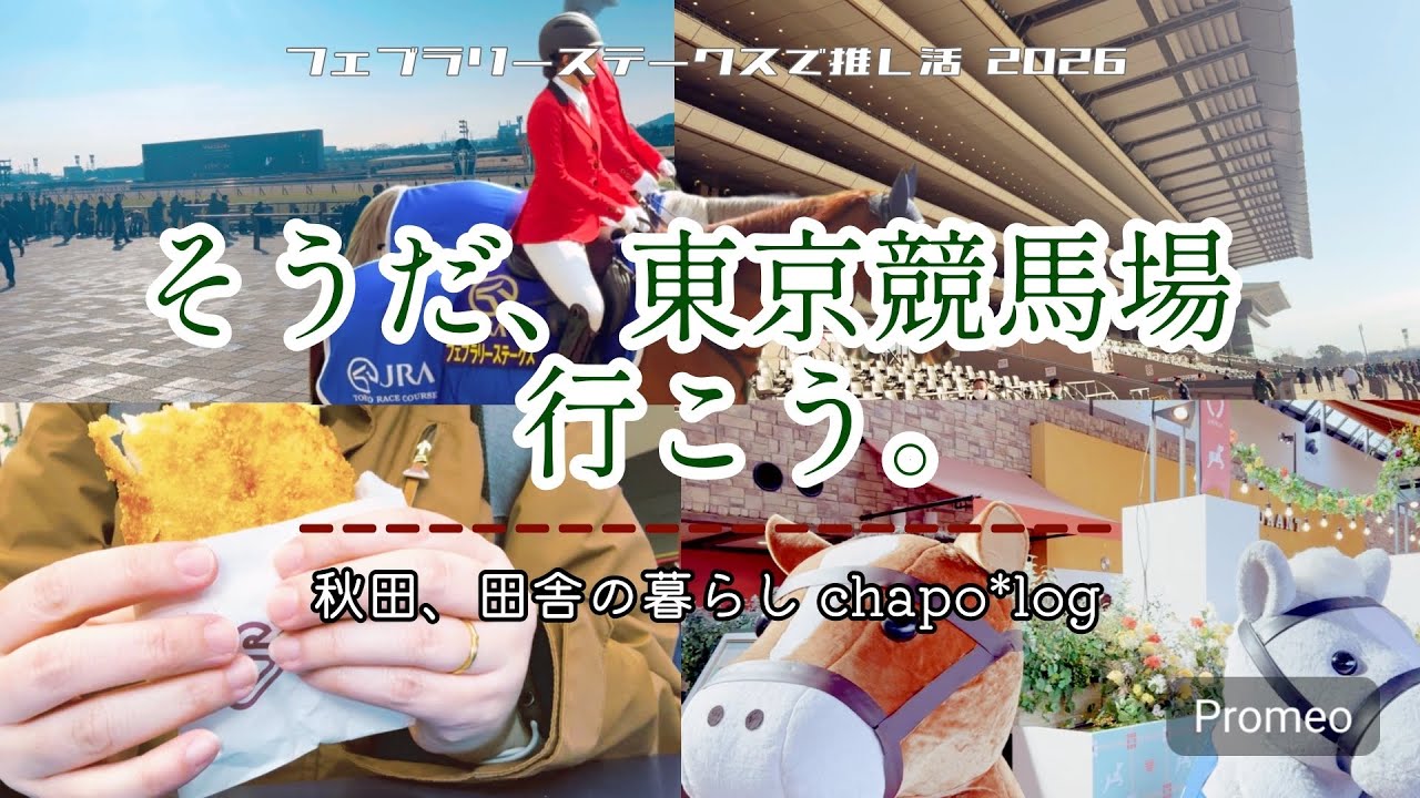 【旅Vlog｜秋田↔東京車旅】0泊3日で行く東京弾丸旅｜GⅠフェブラリーステークスを観に東京競馬場へ！🏇｜3次元推し活【飾らない暮らし/飾れない暮らし🏠】