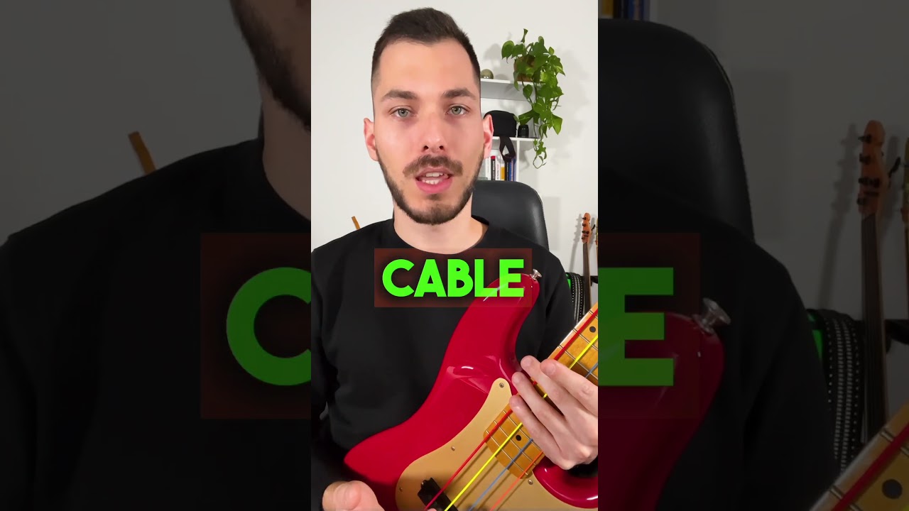 6 Bass Accessories EVERY Beginner Needs