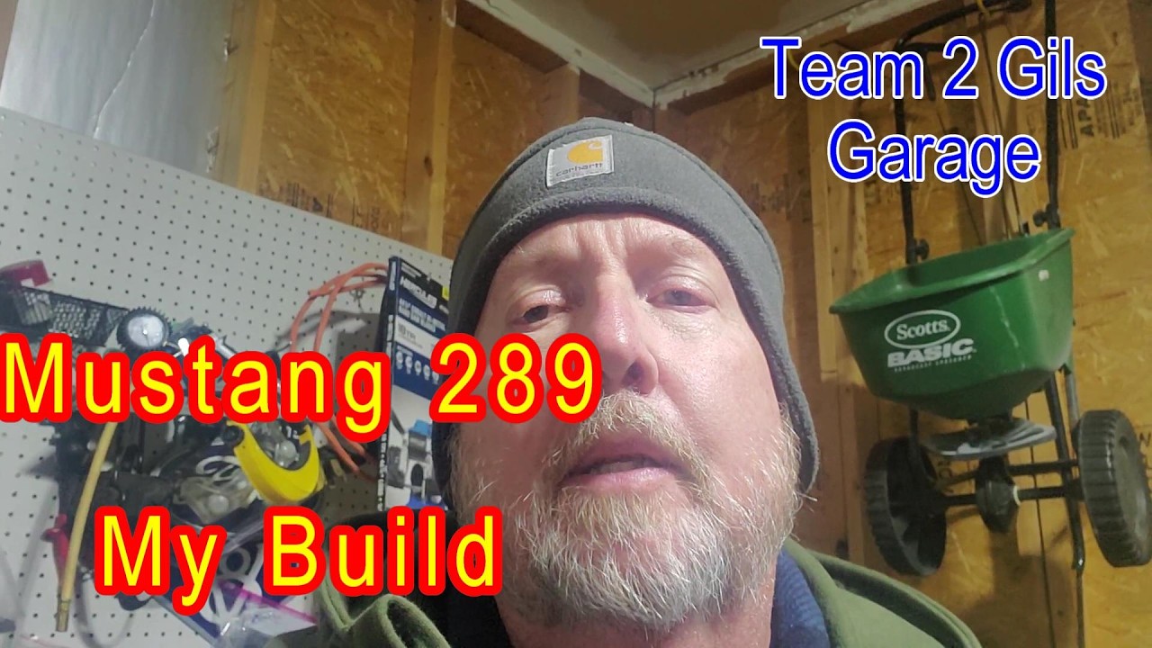 Проект Mustang 1966 года - Ford 289, моя сборка.
