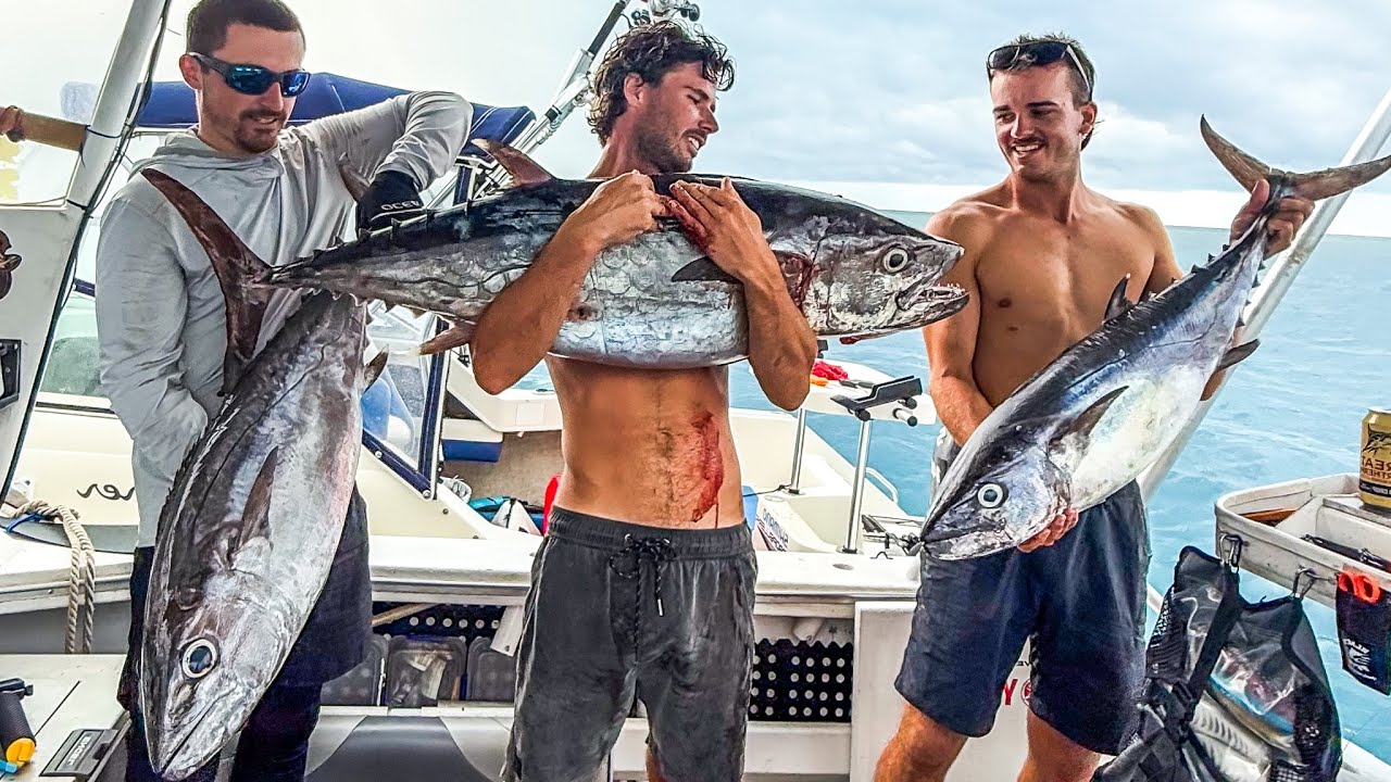 DOGTOOTH TUNA The Pinnacle of Fishing