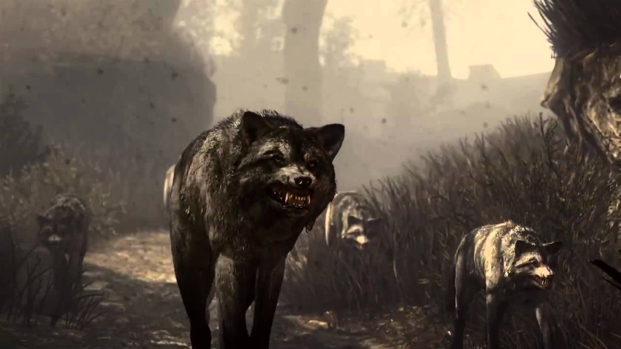 Call of Duty&reg;  Ghosts Launch Accolades Trailer