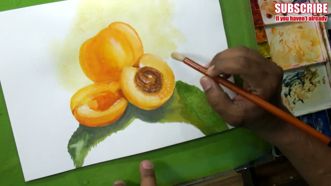 Peach Fruit Drawing & Paint with Watercolour | Art by Farrukh | how to draw fruits for beginners