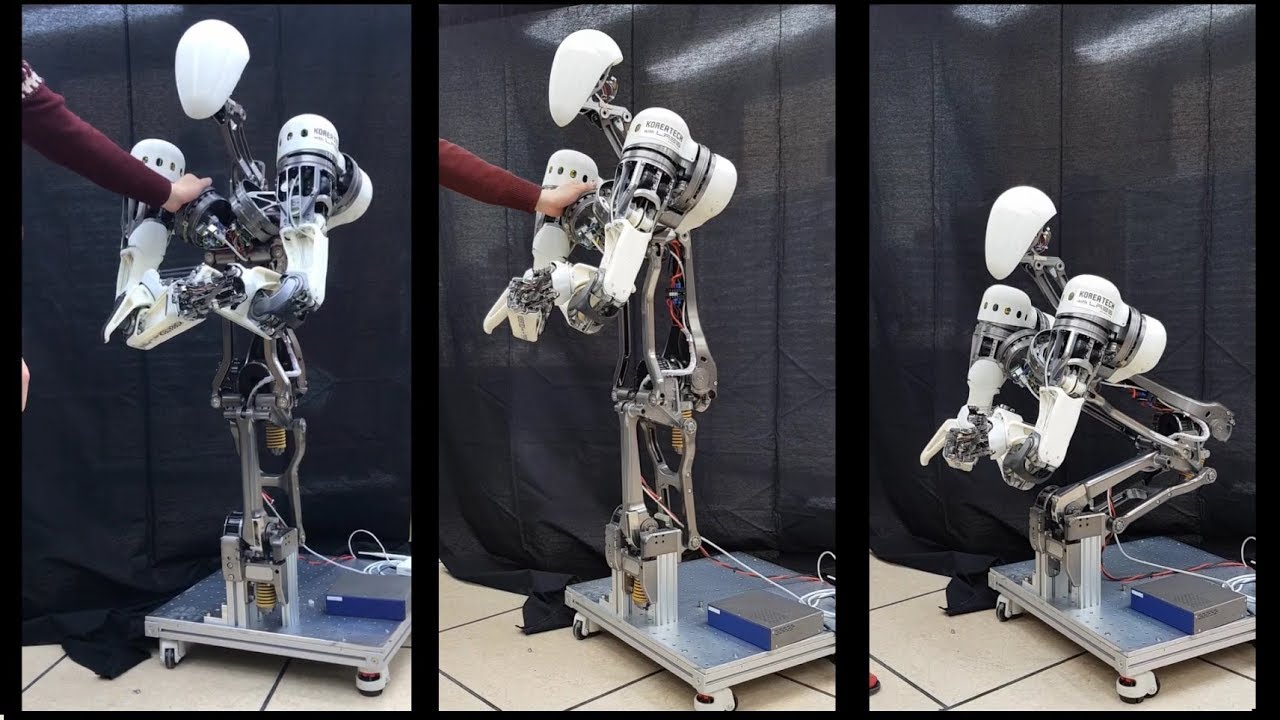 3-DOF Waist for LIMS2-AMBIDEX using Gravity Compensation Mechanisms