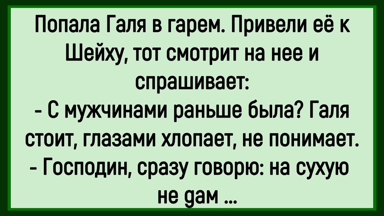 🔥Как Галя В Гарем Попала! Сборник Смешных До Слёз Анекдотов! Юмор! Позитив!