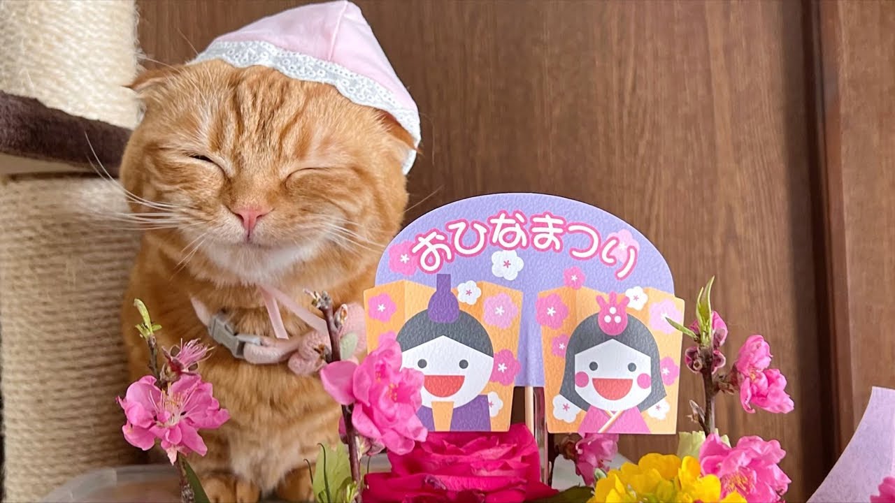 ひな祭りモグモグ配信！
