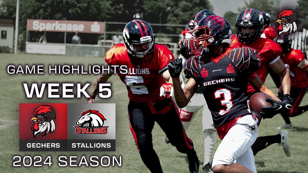 Aschaffenburg Stallions@Hemhofen Gechers